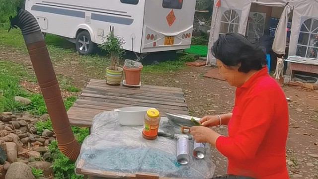 5辆房车7个人房车隔离深山，满地找野菜吃