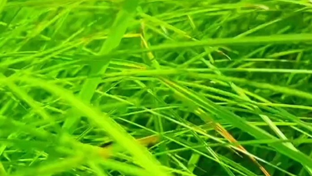 我也想带你去玩啊可是