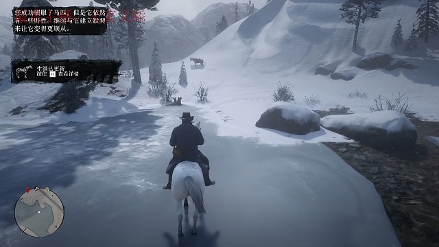 玩的这么菜也能一次抓到阿拉伯马？