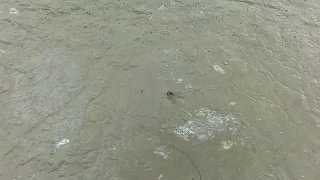 藏的很好就是漏了鼻子