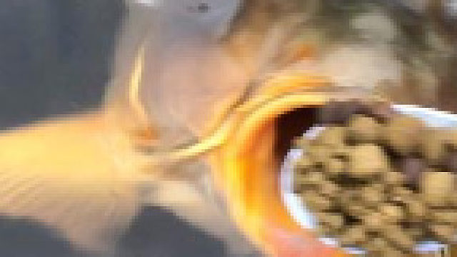 我一勺三花淡奶结果就夹不住了吧