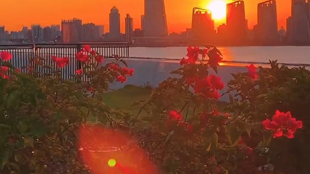 带着善良与真诚和生活会面以真为本以善为桥人活一世正大光明才是关键为人处事心地