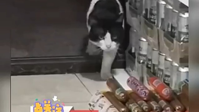 挺有中国传统呀，还知道过节多吃点