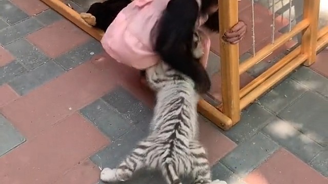 有本事半年之后再一起玩