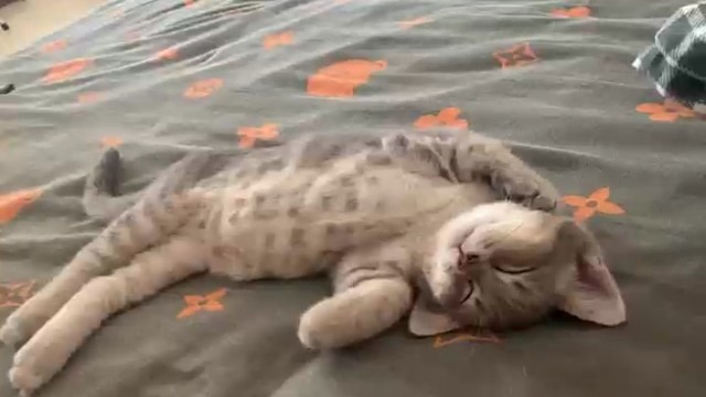 像极了我不想上学时样子！