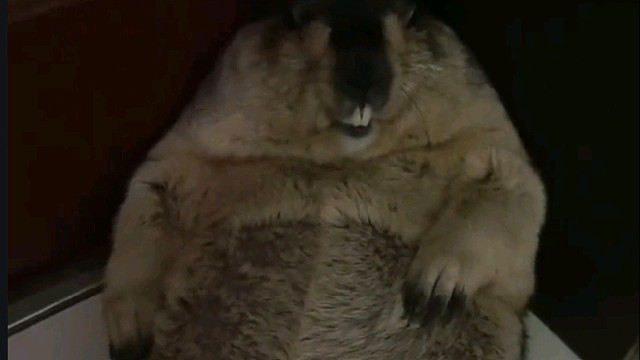 站好了，不要在这搞无懒