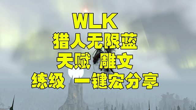 wlk兽王猎 无限蓝 练级一键宏分享