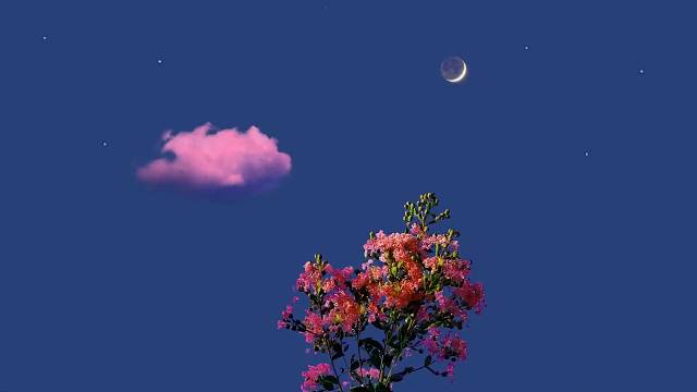 好像期望越高，失望越大[难受]