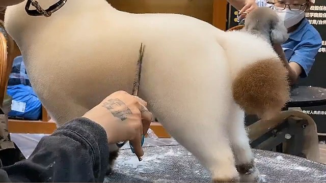 这小东西还挺别致！！！