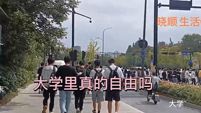上大学真的自由吗