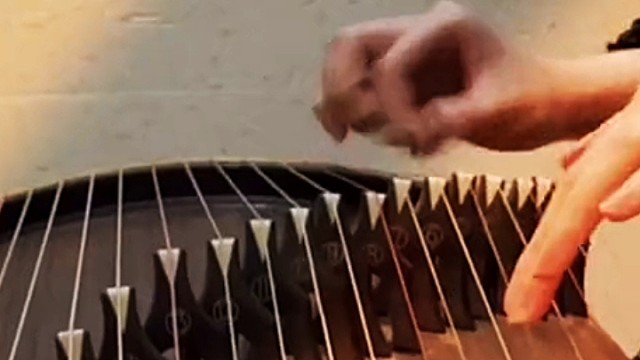 哪朵玫瑰没有荆棘？心之所向，就是最好的方向