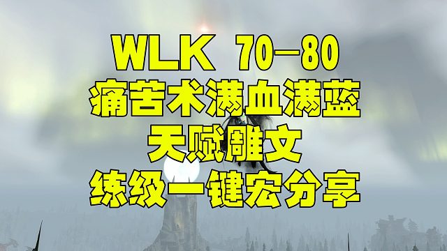 WLK 70-80级 痛苦术满血满蓝 练级天赋雕文 一键宏分享