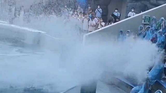 刚是你们没鼓掌吗？我给你们示范一下