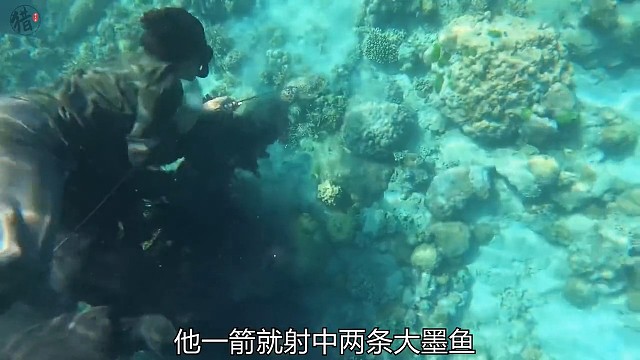 一箭双雕射杀大墨鱼