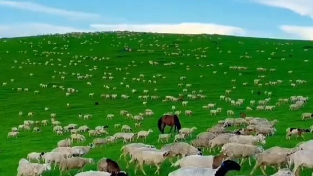 看着绿色的草和蓝色的天空这种感觉清爽