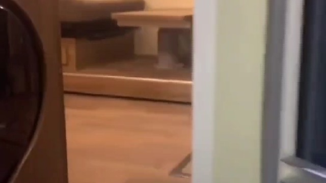 我发布了一个新视频，快来围观吧！