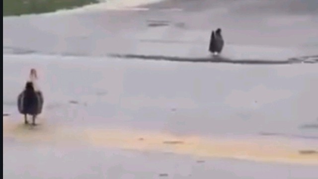 这些BNG排队要去哪里呢