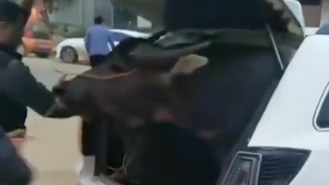 有点太不可思议了