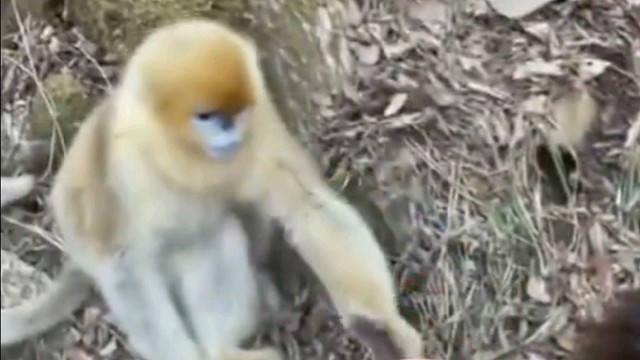 你这么高贵身份对得起这个东西吗