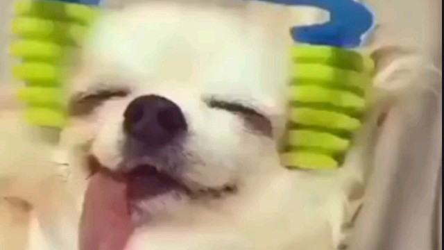 对就是这个力度