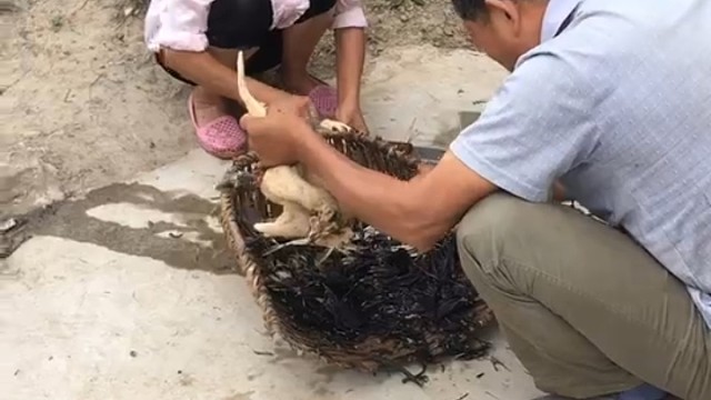 爸爸妈妈对我的爱