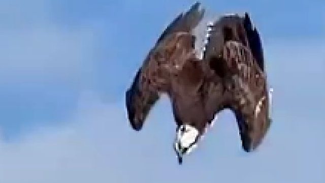 猜到了结局，却又没猜到结局。