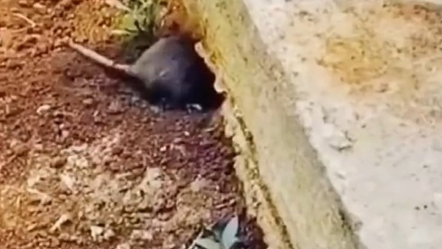 你搬家把我搬出来，干哈！