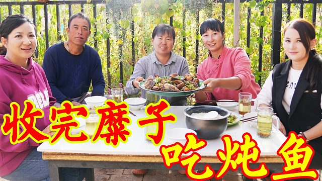 又是一年秋忙时，春姐收糜子妹妹做家常炖鱼，干完农活吃饭真过瘾