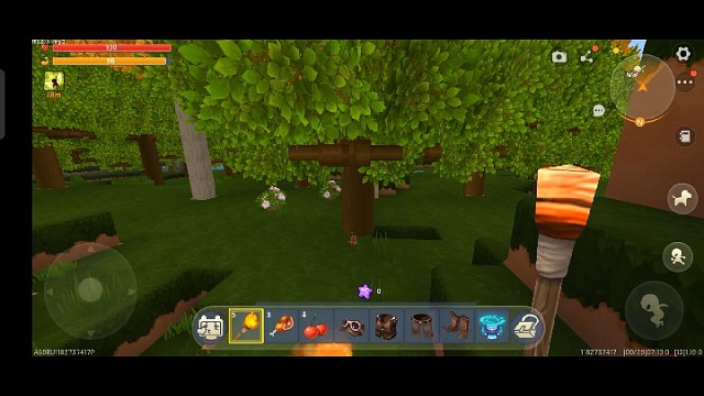 莫泽杨游戏解说。