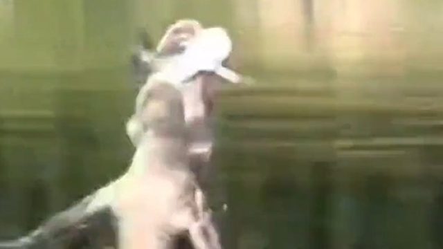 无人机遭鳄鱼一口吃掉