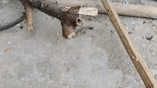 去朋友家玩，他说外面有东西在动，让我出来看看