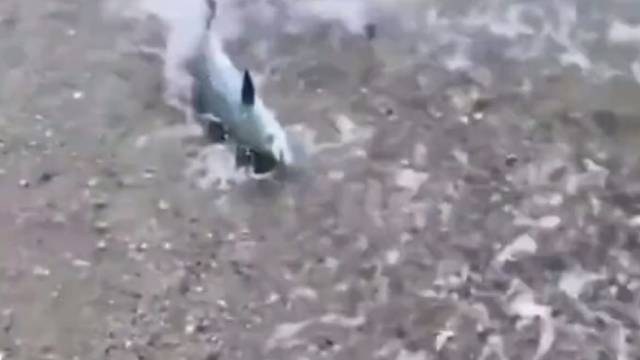 活菩萨见多了，活阎王头一次见