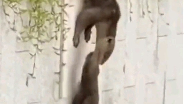 多么团结一个团队