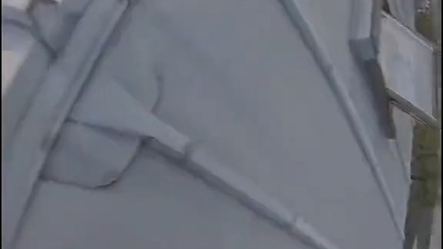 即使明天有未知的危险，可我依然热爱它，奔向它