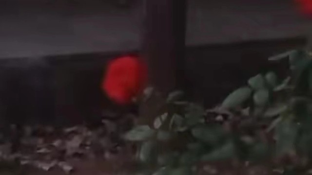 初次见面
请多指教