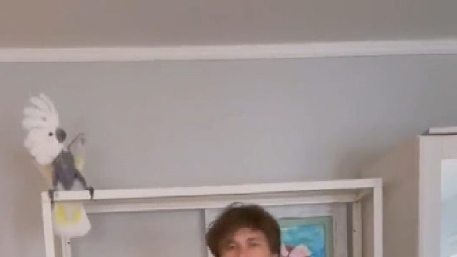 鹦鹉因为抑郁症把毛全拔了，主人陪它跳舞治愈它的抑郁症