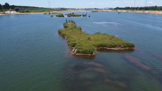 島上釣個魚