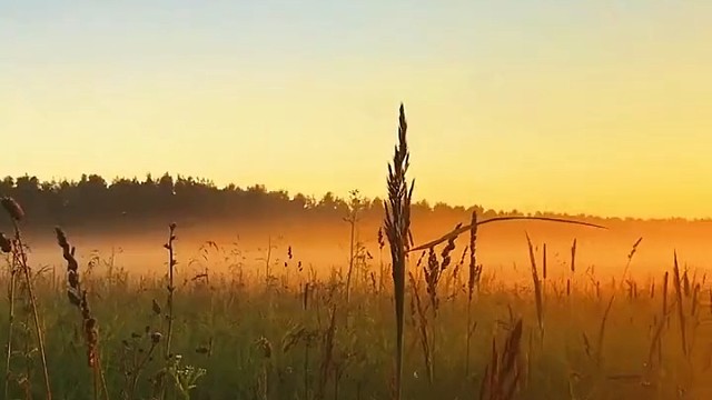 奔赴在前程光明里幸福在晨暮春秋里我与天地并肩见红叶青苔岁悠悠心常盼灯火慢岁月