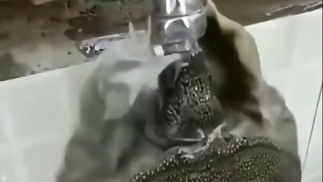 专业洗胃啊这第一个