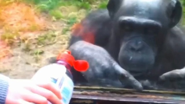 最经典的配音天花板