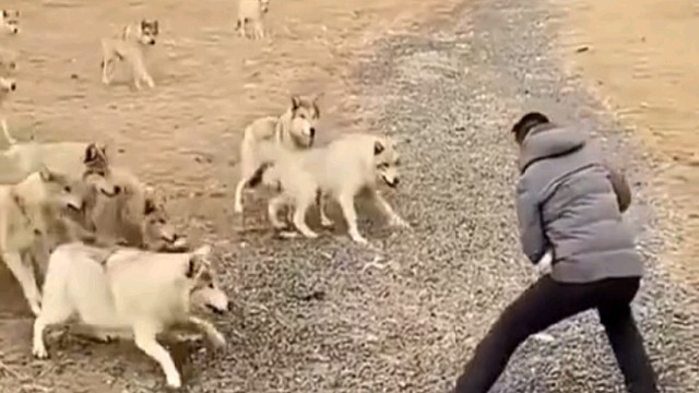 这种情况应该怎么办