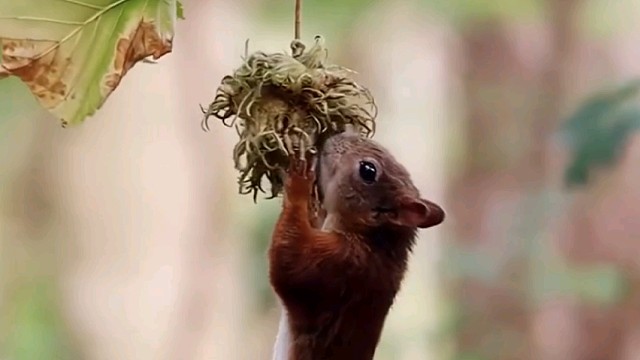万物都有自己的生存法则