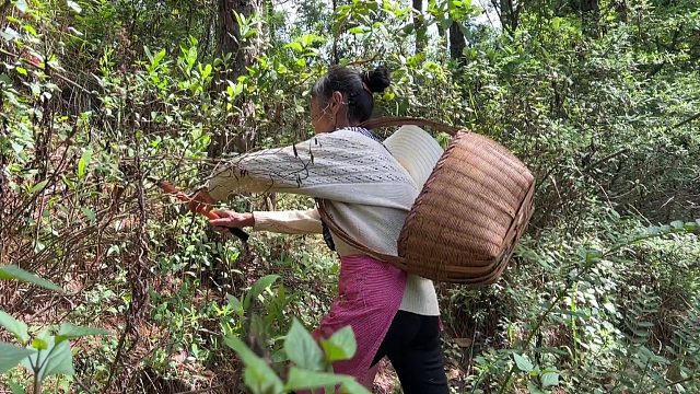 农村婆婆走十几公里山路，给坐月子的儿媳带回啥？不值钱却很暖心
