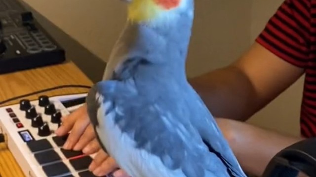 |ू•ૅω•́)ᵎᵎᵎ