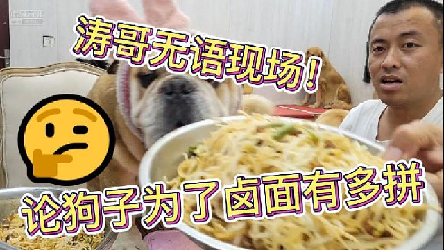【囧囧宠物-涛哥】论狗子是如何为了卤面把涛哥整崩溃的！