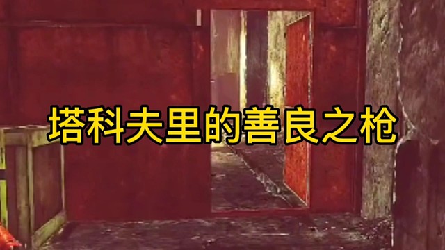 塔科夫里的善良之枪！