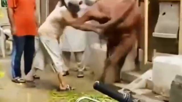 好家伙嘛，看着都疼系列