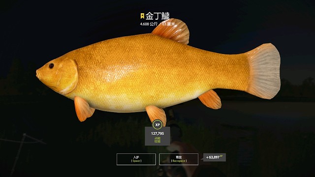 金丁的最后发力之星来！！！