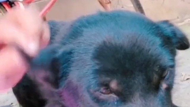 我是不会回来了