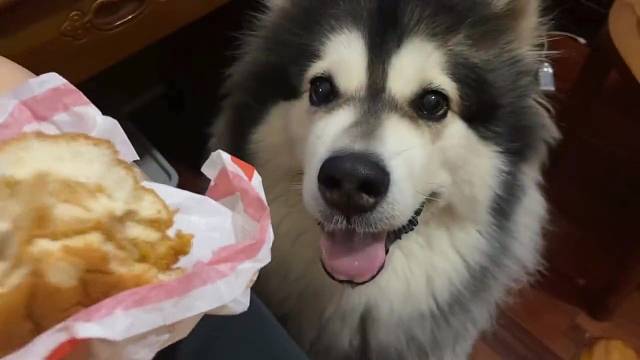 没有一个动作是多余的！